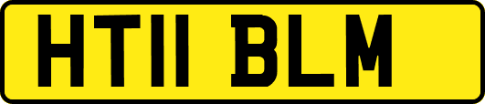 HT11BLM