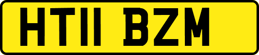 HT11BZM