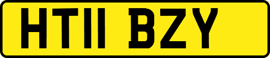 HT11BZY