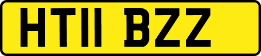 HT11BZZ