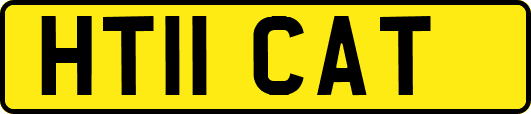 HT11CAT