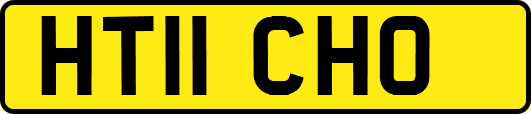 HT11CHO