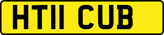HT11CUB
