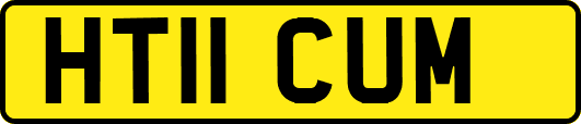 HT11CUM