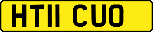 HT11CUO