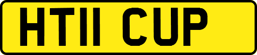 HT11CUP