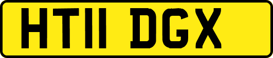 HT11DGX