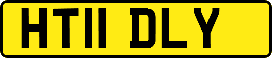 HT11DLY