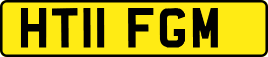 HT11FGM