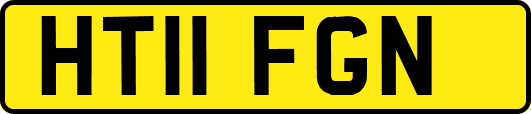 HT11FGN