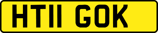 HT11GOK