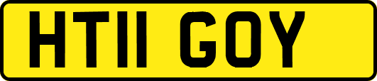 HT11GOY