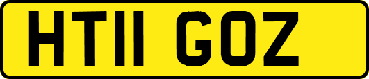 HT11GOZ
