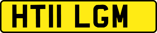 HT11LGM