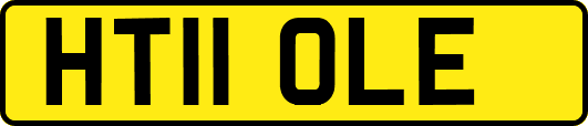 HT11OLE