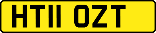 HT11OZT