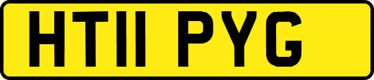 HT11PYG