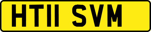 HT11SVM