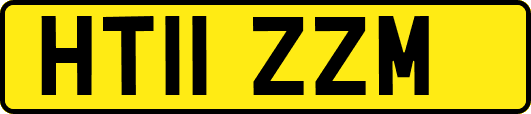 HT11ZZM
