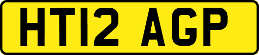 HT12AGP