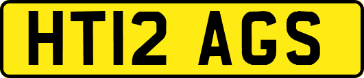 HT12AGS