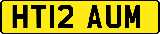 HT12AUM