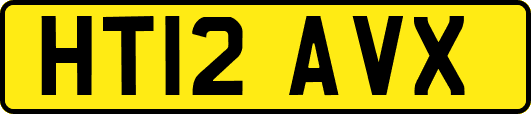 HT12AVX