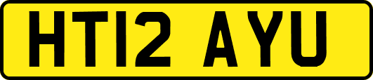 HT12AYU