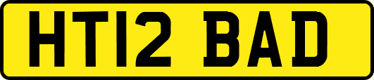 HT12BAD