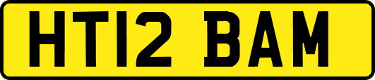 HT12BAM