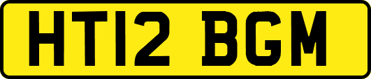 HT12BGM