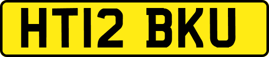HT12BKU
