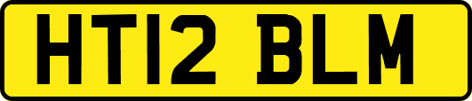 HT12BLM