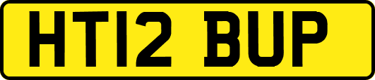 HT12BUP
