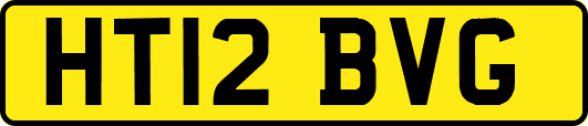 HT12BVG