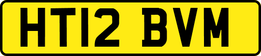 HT12BVM