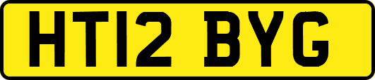 HT12BYG