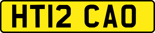 HT12CAO