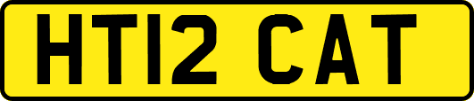 HT12CAT