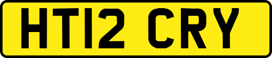 HT12CRY