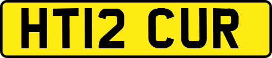 HT12CUR