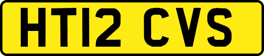 HT12CVS