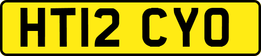 HT12CYO