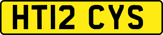 HT12CYS