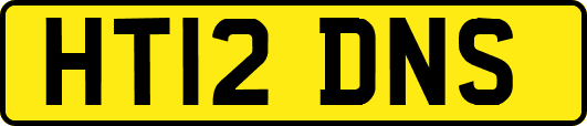 HT12DNS