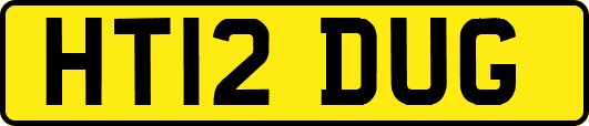 HT12DUG