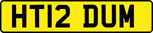 HT12DUM