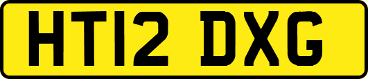 HT12DXG
