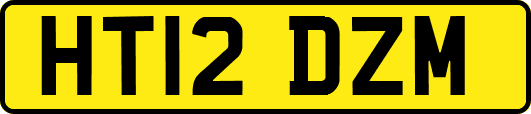 HT12DZM