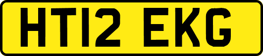 HT12EKG